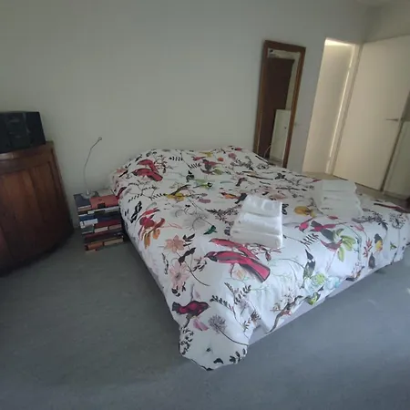 Felix Balena - Get Away Op Texel Villa *