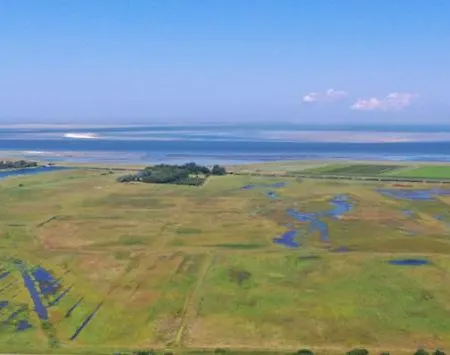 Felix Balena - Get Away Op Texel * De Cocksdorp (Texel)