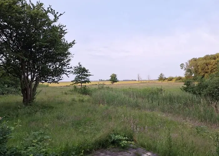 Felix Balena - Get Away Op Texel De Cocksdorp (Texel)