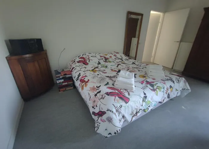 Felix Balena - Get Away Op Texel Villa *