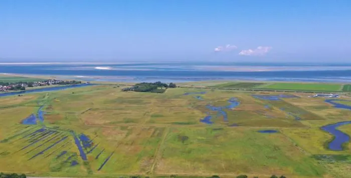 Felix Balena - Get Away Op Texel * De Cocksdorp (Texel)