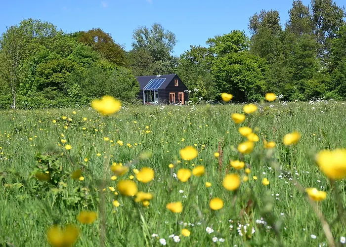 Felix Balena - Get Away Op Texel *